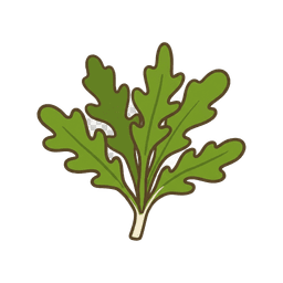 Rucola