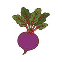 Rote Bete