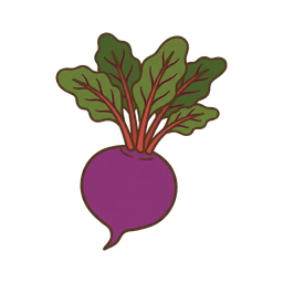Rote Bete