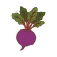 Rote Bete
