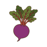 Rote Bete