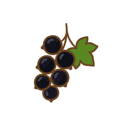 Schwarze Johannisbeere