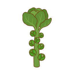 Rosenkohl