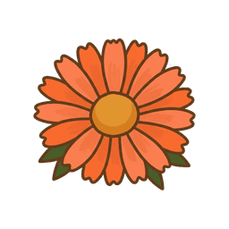 Ringelblume