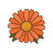 Ringelblume