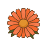 Ringelblume