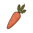 Möhre