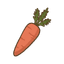 Möhre