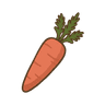 Möhre