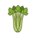 Stangensellerie