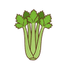 Stangensellerie