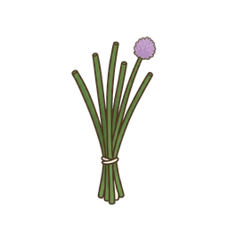 Schnittlauch