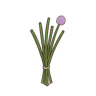 Schnittlauch