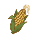 Mais