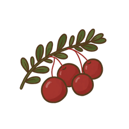 Cranberry