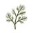 Dill