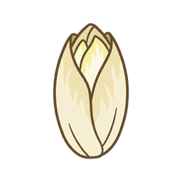 Endivie