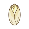 Endivie