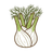 Fenchel
