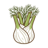 Fenchel