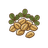 Bockshornklee