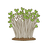 Gartenkresse
