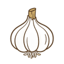 Knoblauch