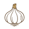 Knoblauch