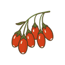 Goji-Beere
