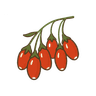 Goji-Beere