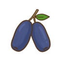 Maibeere
