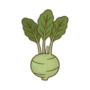 Kohlrabi
