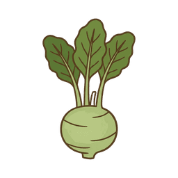 Kohlrabi