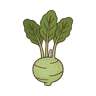 Kohlrabi