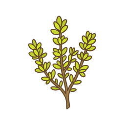 Zitronenthymian