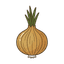 Zwiebel
