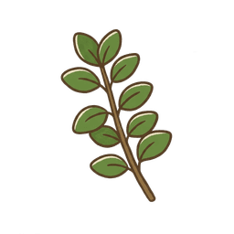 Oregano