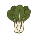 Pak Choi
