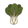 Pak Choi