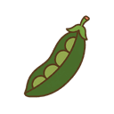 Erbse