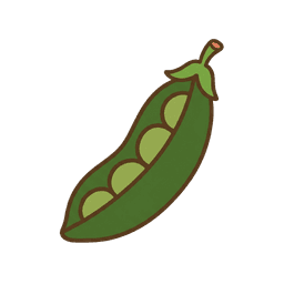 Erbse