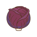 Rotkohl