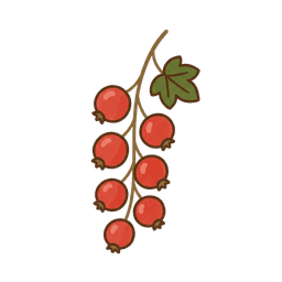 Rote Johannisbeere