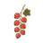 Rote Johannisbeere