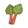 Rhabarber