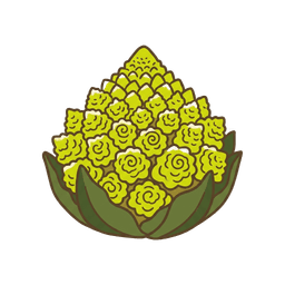 Romanesco