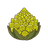 Romanesco