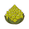Romanesco