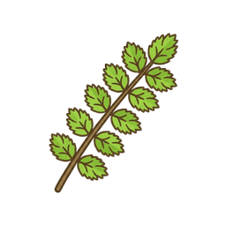 Pimpinelle
