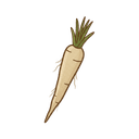 Schwarzwurzel